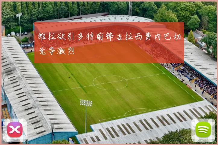维拉欲引多特前锋吉拉西费内巴切竞争激烈