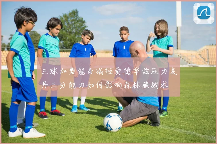 三球加盟能否减轻爱德华兹压力麦丹三分能力如何影响森林狼战术