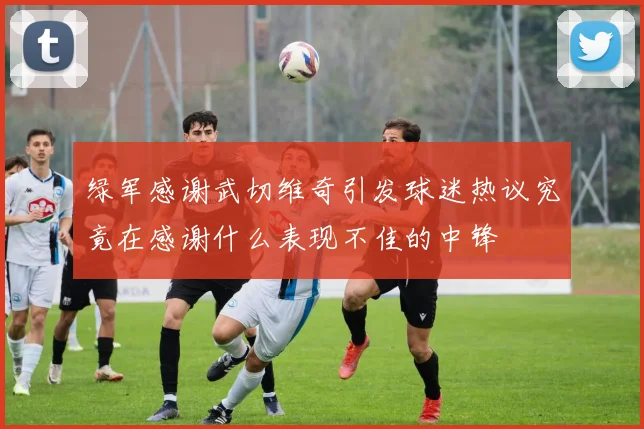 绿军感谢武切维奇引发球迷热议究竟在感谢什么表现不佳的中锋