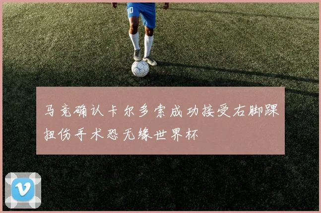马竞确认卡尔多索成功接受右脚踝扭伤手术恐无缘世界杯